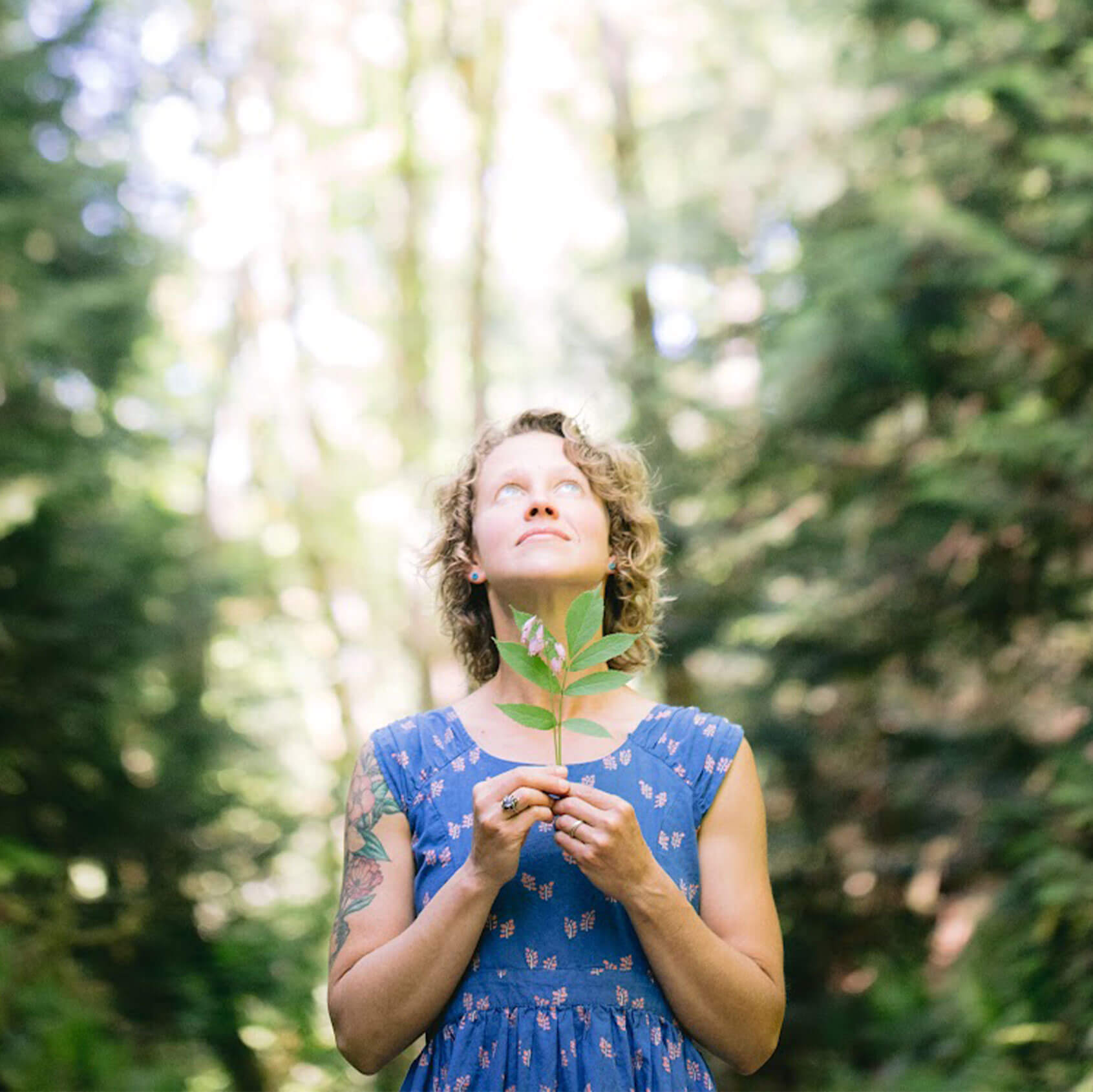 Journey-Home-Healing --Sarah-Myers